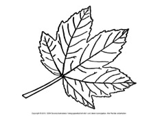 Herbstblatt-zum-Ausschneiden-23.pdf